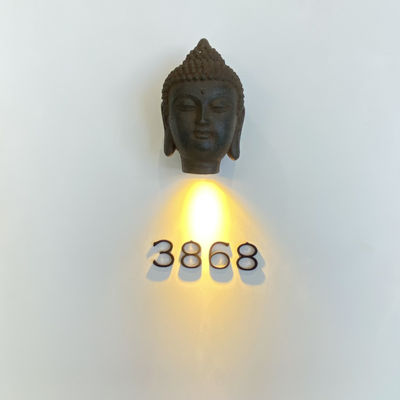 Un innesto a vite illuminato di 304 del metallo di acciaio inossidabile segni di indirizzo