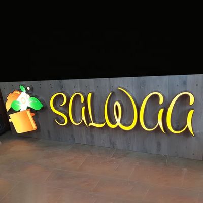 CE ROHS del contrassegno di Logo Sign Led Business Shopfront delle lettere di acciaio inossidabile 3d